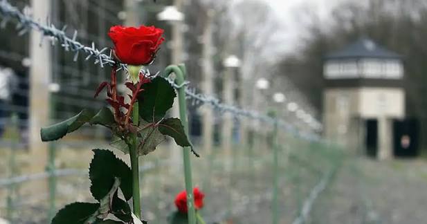 Viaggi nella memoria
